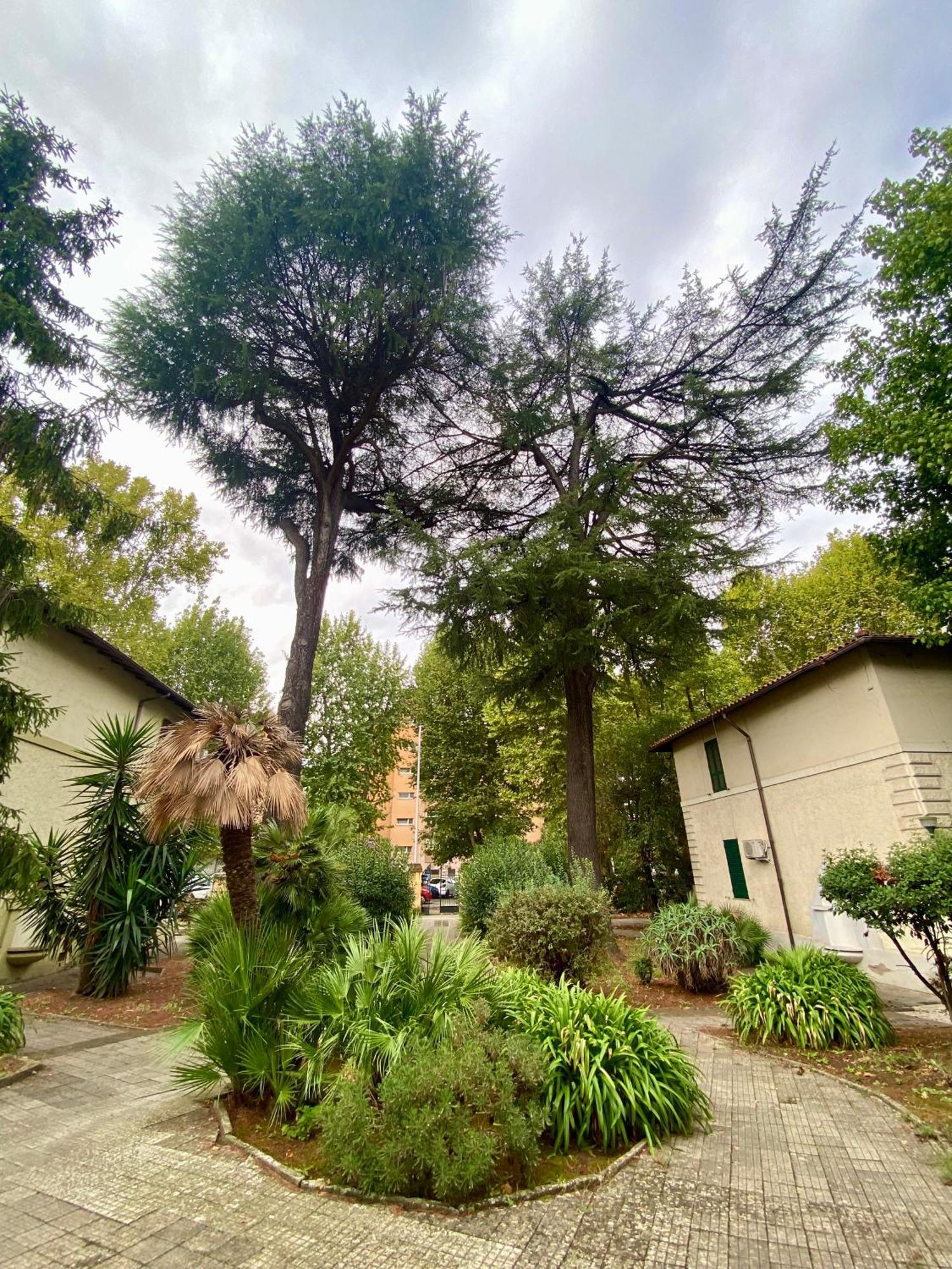 A Casa Con Greta Appartement Rome Buitenkant foto